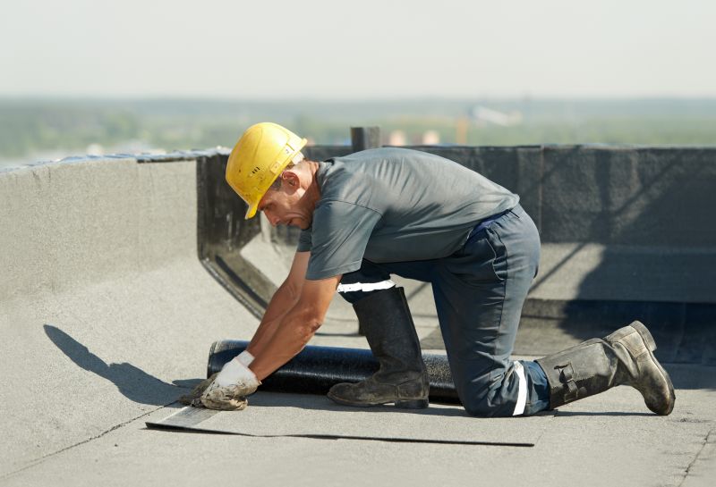 Professional Roofing Service