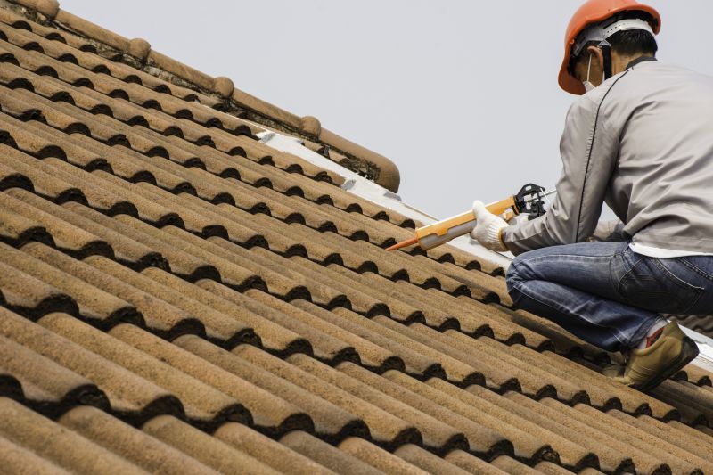 Roof Maintenance Professionals